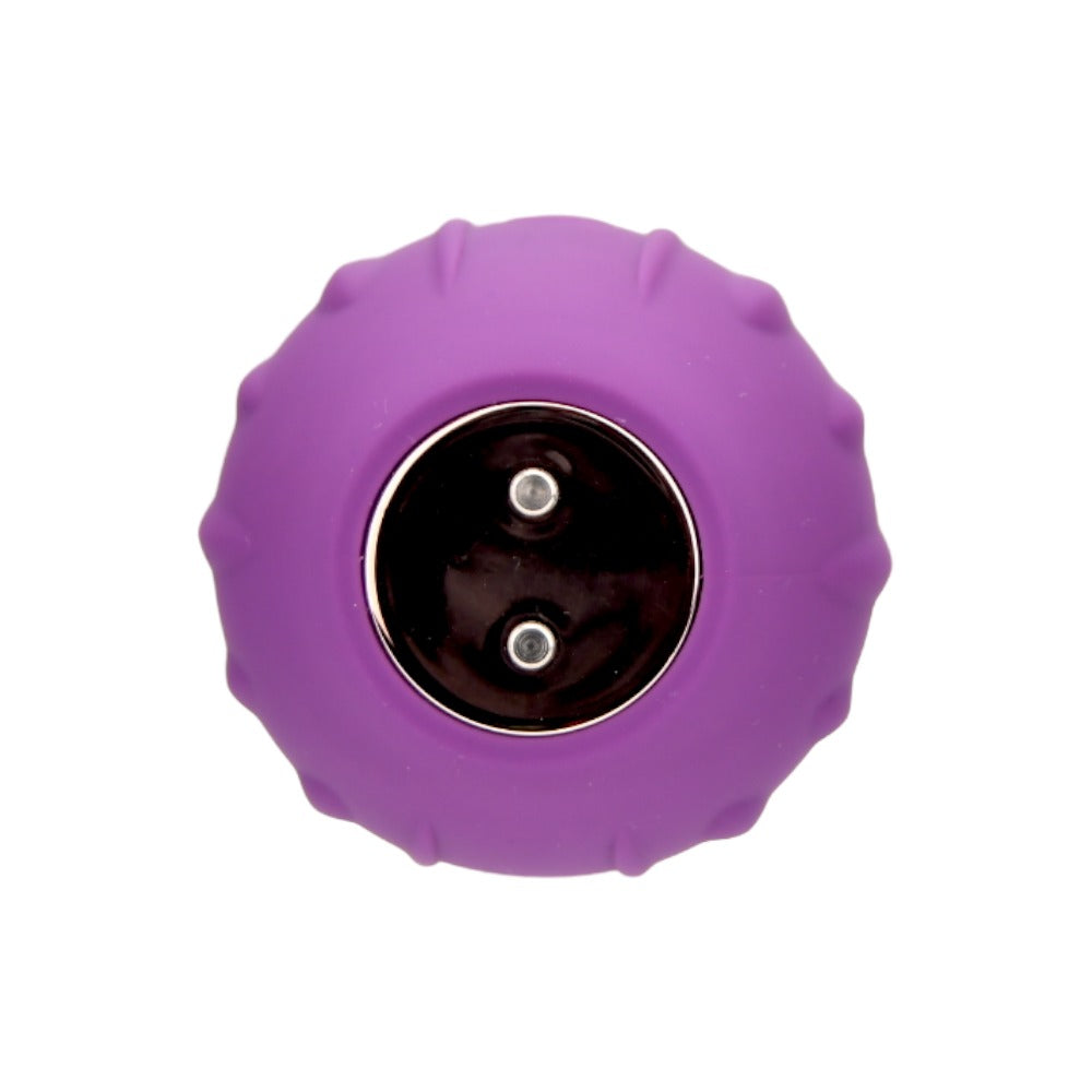 Loving Joy Rose Licking c1itoral Vibrator Purple