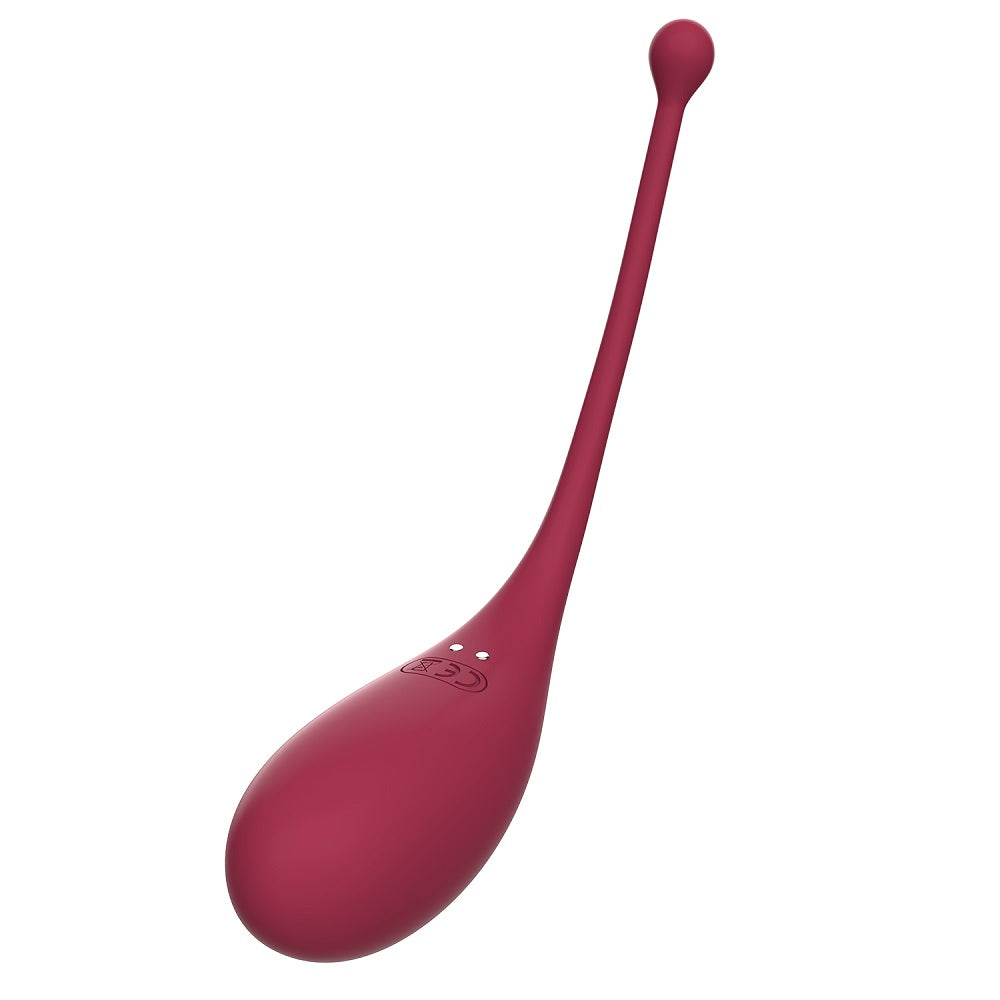 Adrien Lastic Inspiration c1itoral Suction Stimulator and Vibrating Egg